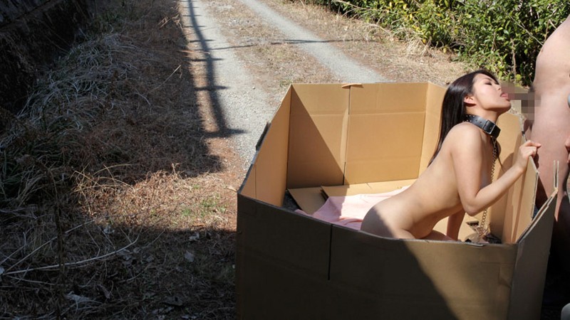 YAG-002 第 9 部分 - 118 分钟