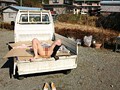 野外人妻羞恥 11 小野麻里亜 - サンプル画像