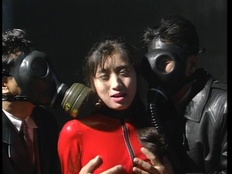 家畜人 希志真理子