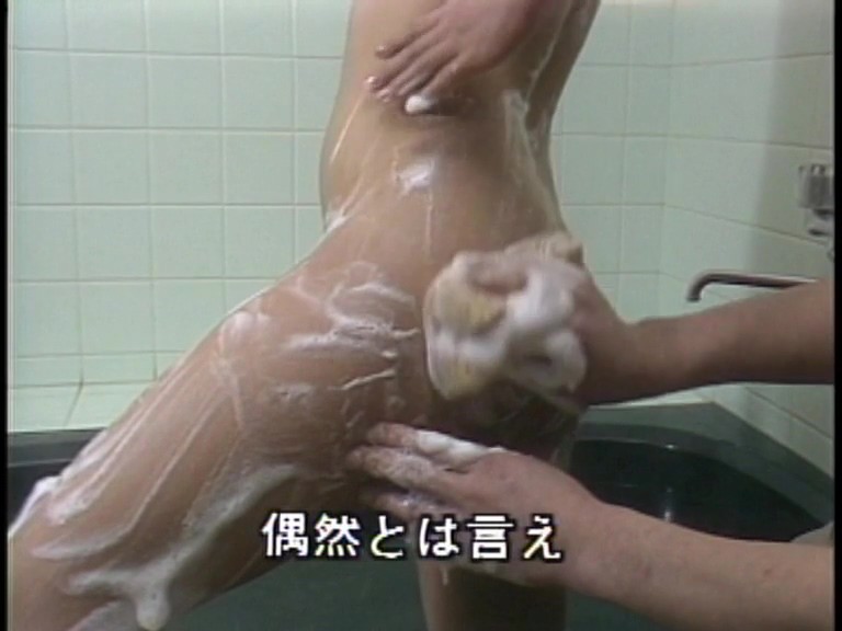 SH-013 Part 4 - 33 minutes