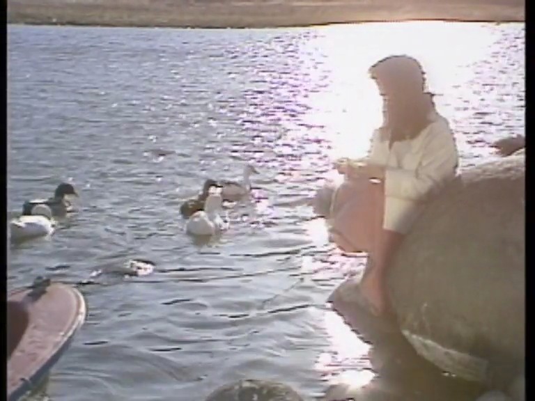 SH-033 Bagian 2 - 31 minit