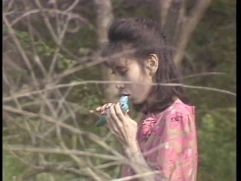 SH-042 パート 1 - 30 分