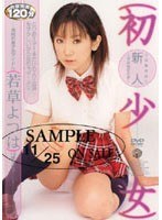若草よつは width=147