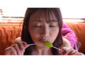 写真9