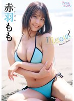 「Meow！」 赤羽ももの画像