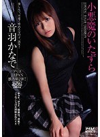 (53dv1008)[DV-1008]Devilish Little Tricks ( Kanade Otoha ) Download