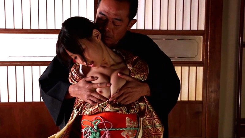 DV-1613 パート 1 - 30 分