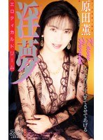 (53ka1702)[KA-1702]Erotic Dreams - Kaoru Harada Download