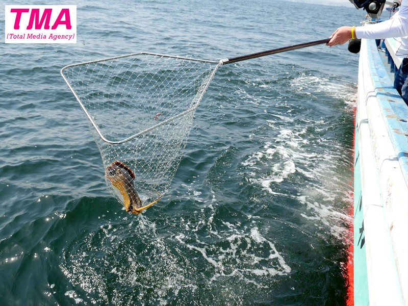 AVOP-206 Bagian 6 - 60 minit