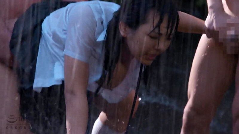 T-2800575 第 14 部分 - 43 分钟