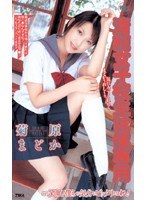 清純女子校生は僕専用 菊原まどか