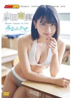 WEEKLY YOUNG JUMP PREMIUM DVD「みなみかぜ」 山田南実の画像