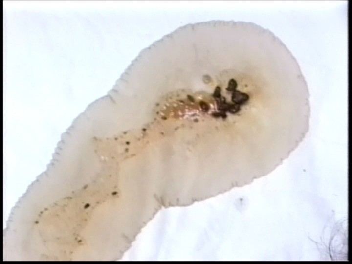 MC-03 パート 13 - 54 分