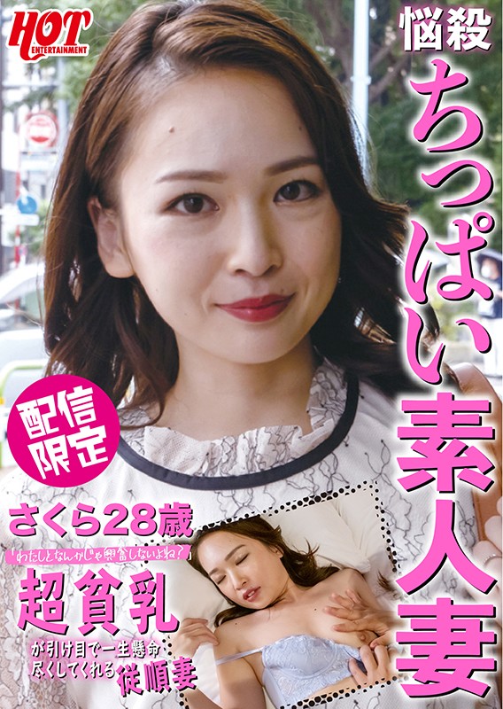 DHT-217 第 1 部分 - 30 分钟