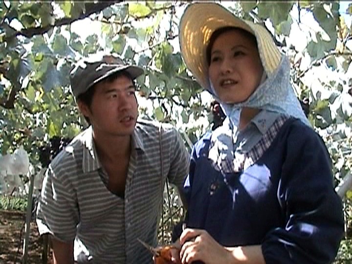 HET-355 第 1 部分 - 30 分钟