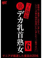 裏フル勃起デカ乳首熟女6 マニアが厳選した垂涎の20名