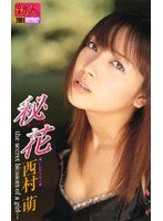 (61mds049)[MDS-049]秘密花教育部西村 下載