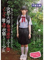 恥ずかしいから、ママにはブラを買ってと言い出せなくて…突然の大雨で発育途中の小さな胸がノーブラ濡れ透け状態になってしまった少女 東京都練馬区在住 なごみ（1●歳）のジャケット画像