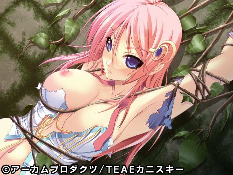 3D 魔王姫狩り シャーディ姫肉壷洗礼 画像1