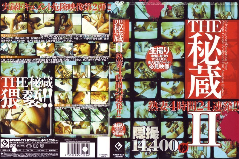 THE秘蔵2 熟妻4時間24連発！！