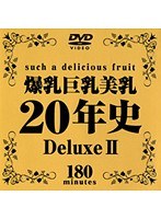 爆乳巨乳美乳20年史 Deluxe 2