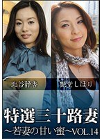 特撰三十路妻 若妻の甘い蜜 Vol.14