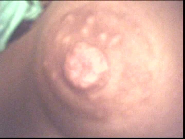 LIA-203 第 5 部分 - 58 分钟