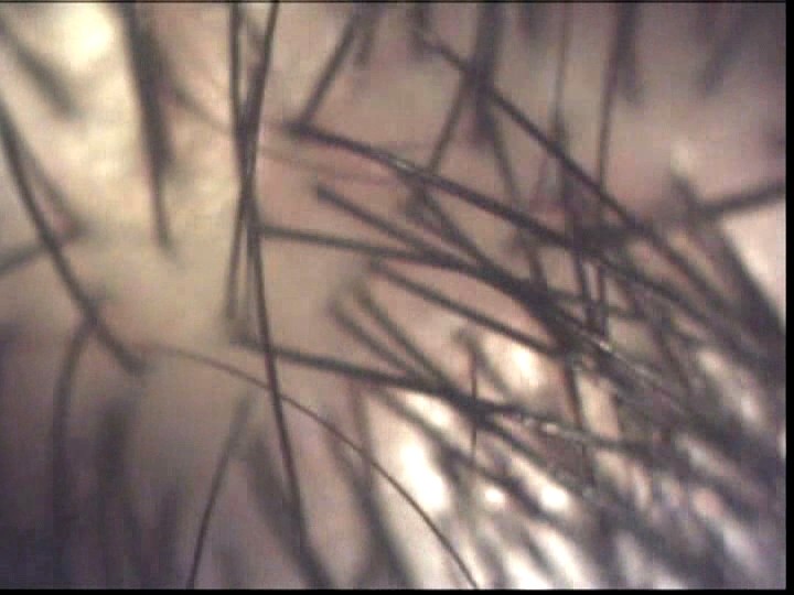 LIA-204 Bagian 7 - 66 minit