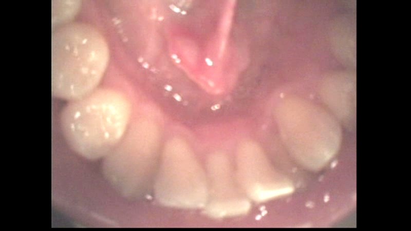 LIA-209 パート 15 - 114 分