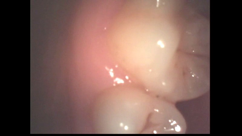 LIA-210 パート 4 - 48 分