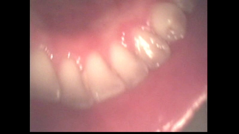 LIA-212 Part 5 - 74 minutes