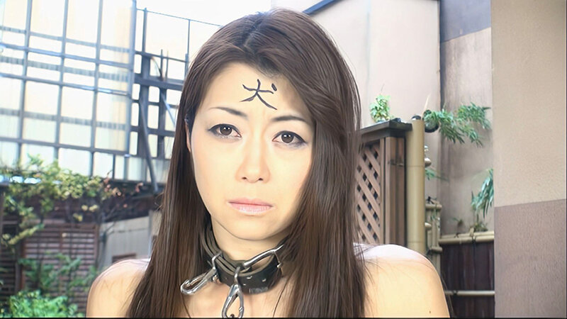 RAI-003 第 14 部分 - 121 分钟