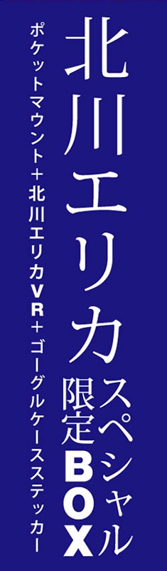 【VRセット】露出狂痴女 出会って即フェラ〜完全女主導セックス 北川エリカ 画像13
