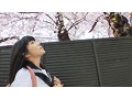 写真3