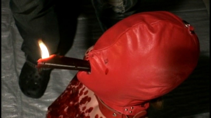 AXDVD-0060R 第 13 部分 - 102 分钟