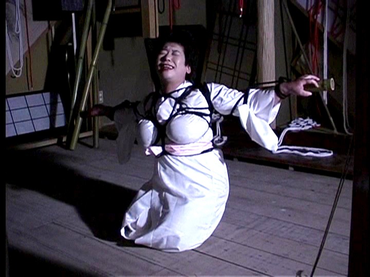 AXDVD-0087R Part 1 - 30 minutes