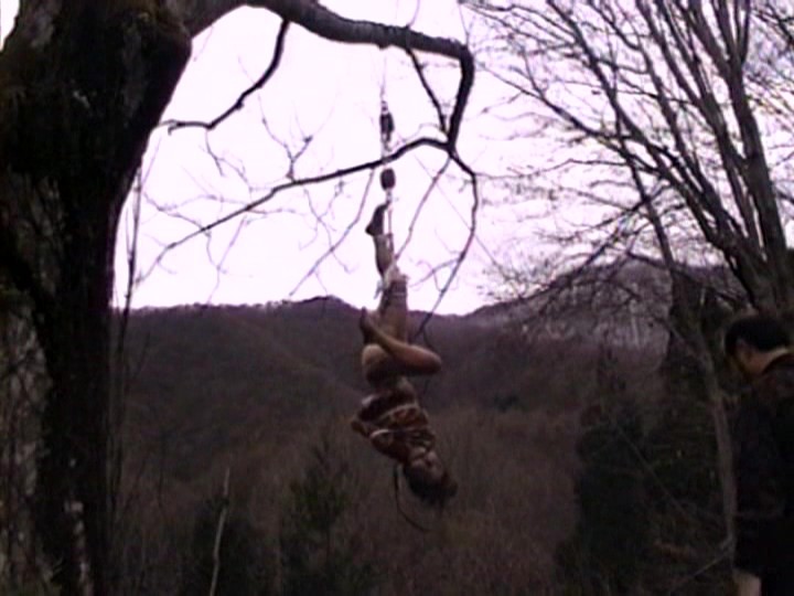 AXDVD-103 第 11 部分 - 90 分钟