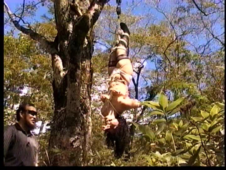 AXDVD-0108R パート 11 - 80 分