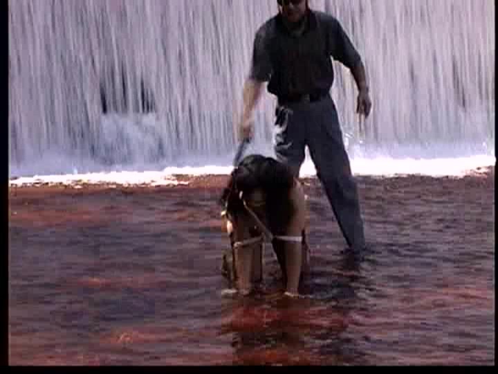 AXDVD-0108R パート 13 - 90 分