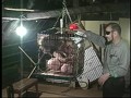 愛玩マゾ妻 監禁調教飼育 - FANZA版サンプル画像