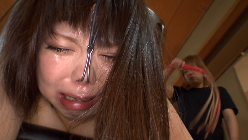 AXDVD-0219R 第 17 部分 - 222 分钟