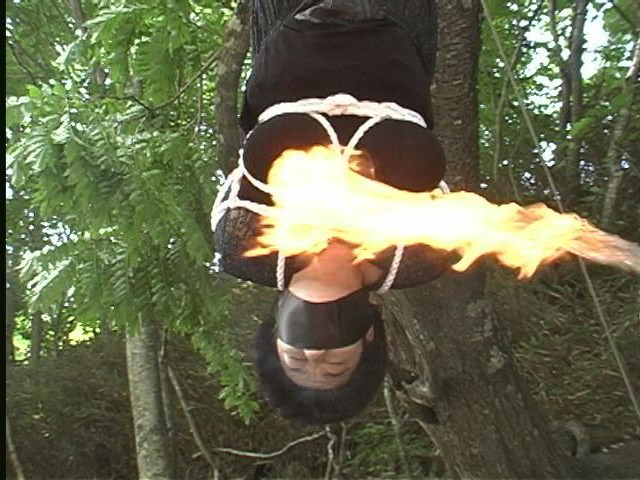 axdvd-312r Part 20 - 87 minutes