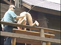 M奴妻NO.7 鞭連打・野外浣腸・吹矢責め サムネイル画像