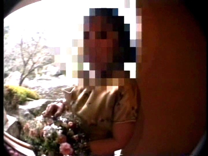 cs-0264 パート 1 - 30 分