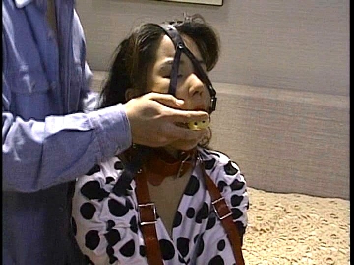 CS-0452 第 1 部分 - 30 分钟