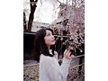 写真4
