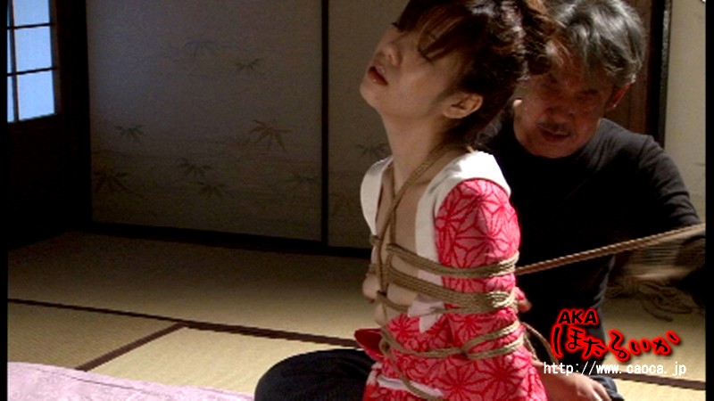 AKHO-017 第 2 部分 - 41 分钟