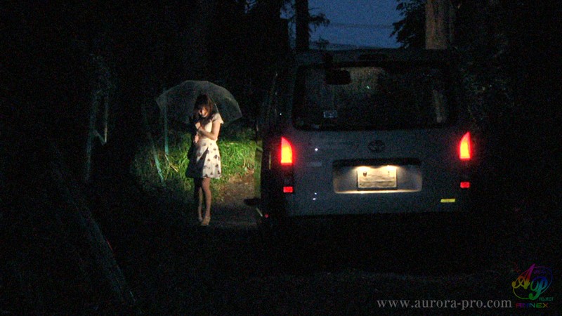 APAK-110 Part 1 - 30 minutes