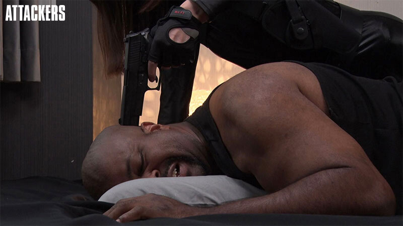 アマリリス 第二章 国際犯罪組織VS美人捜査官 画像2