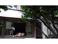 未亡人とかつての教え子～慕情レズビアン～ 円城ひとみ 本真ゆり - FANZA版サンプル画像